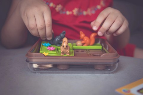 Smart Games. Wiewiórki atakują!