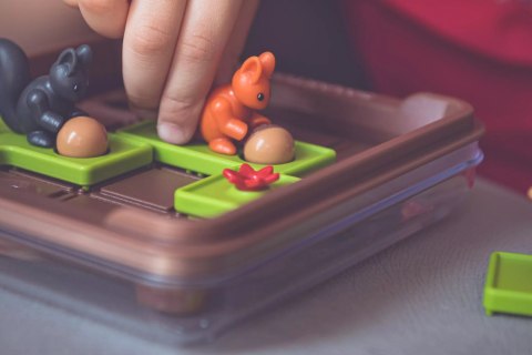 Smart Games. Wiewiórki atakują!
