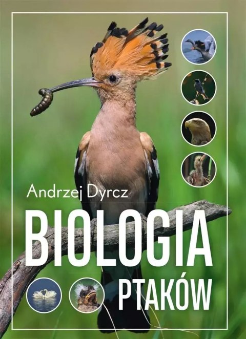 Biologia ptaków Biologia ptaków