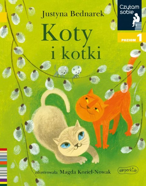 Czytam sobie. Poziom 1. Koty i kotki Czytam sobie. Poziom 1. Koty i kotki