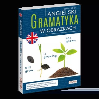 Angielski. Gramatyka w obrazkach
