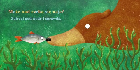 Rok w lesie. Niedźwiedź Rok w lesie. Niedźwiedź