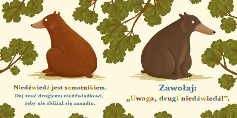 Rok w lesie. Niedźwiedź Rok w lesie. Niedźwiedź