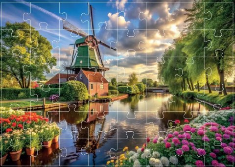 SILVER Alexander Puzzle 48 el. Wiatrak - rehabilitacja, terapia, SILVER Alexander Puzzle 48 el. Wiatrak - rehabilitacja, terapia,