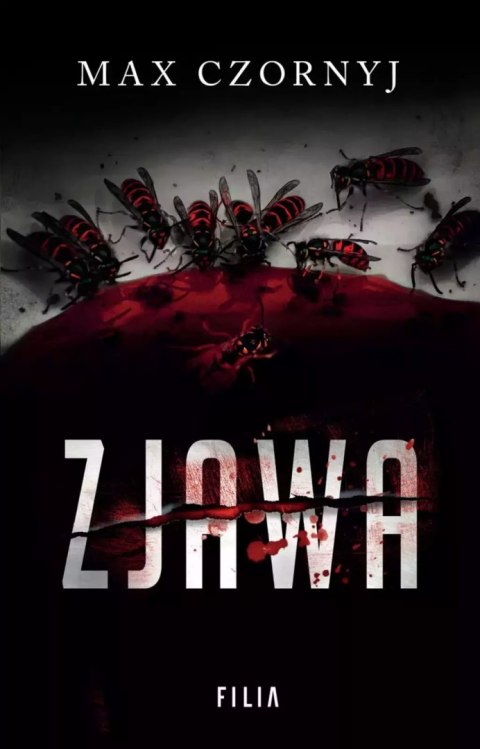 Zjawa Zjawa