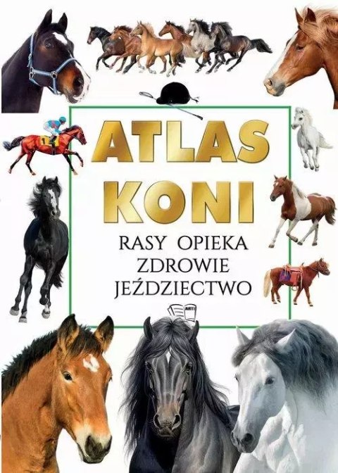 Atlas koni Atlas koni