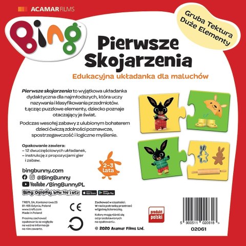 Bing. Pierwsze skojarzenia Bing. Pierwsze skojarzenia