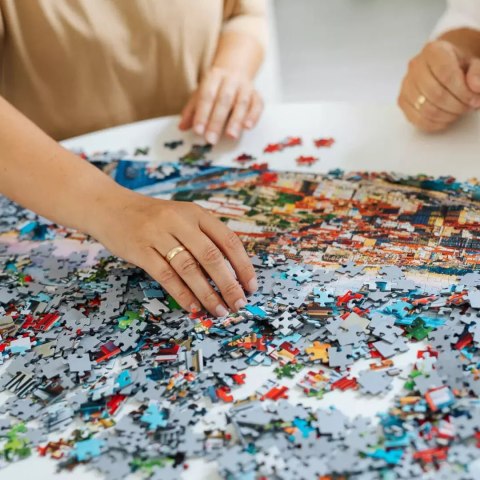 Puzzle 1000 elementów. Kolibry w tropikach Puzzle 1000 elementów. Kolibry w tropikach