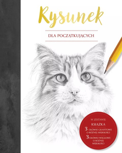Rysunek dla początkujących Rysunek dla początkujących