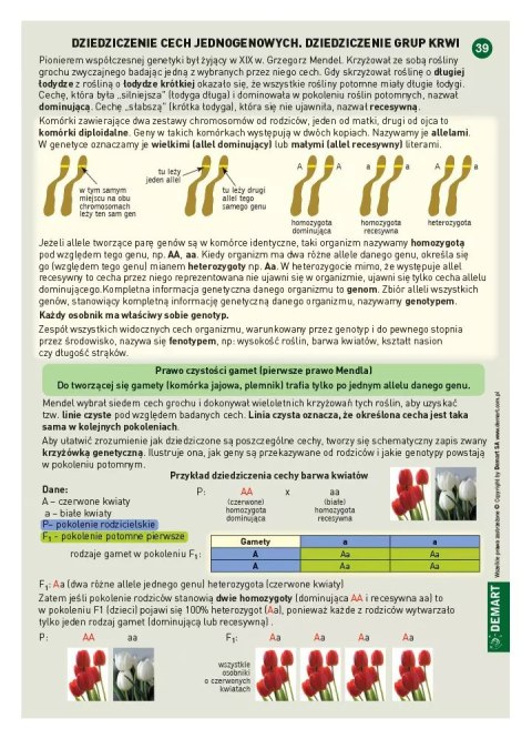 Biologia. Ściągi edukacyjne. Szkoła podstawowa. Klasy 5-8 Biologia. Ściągi edukacyjne. Szkoła podstawowa. Klasy 5-8