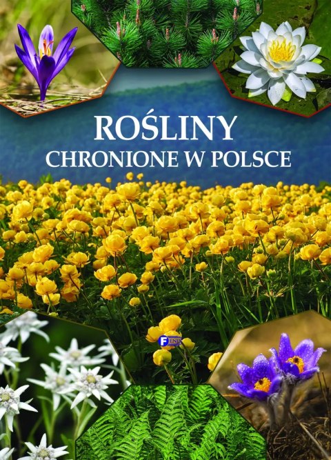 Rośliny chronione w Polsce Rośliny chronione w Polsce