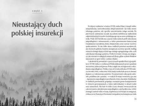 Sybir. Dzieje polskich zesłańców XVIII - XX w.
