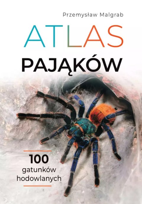 Atlas pająków Atlas pająków
