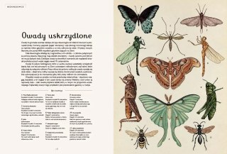 Animalium. Muzeum Zwierząt