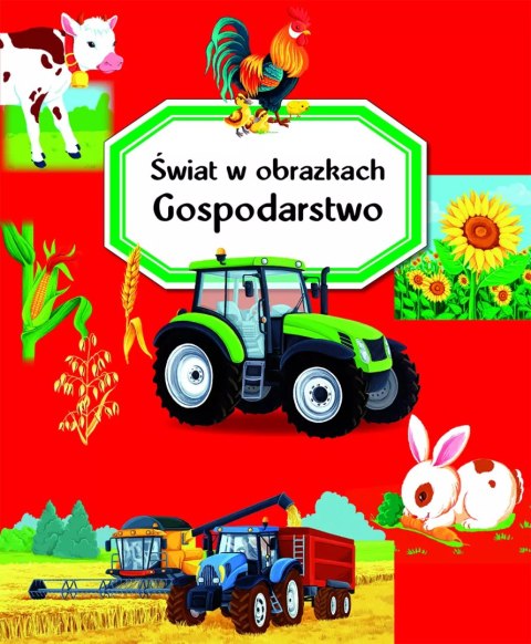 Świat w obrazkach. Gospodarstwo Świat w obrazkach. Gospodarstwo