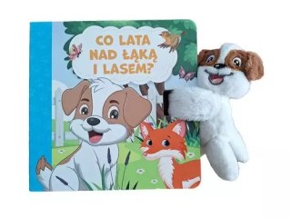 Co lata nad ??k? i lasem?