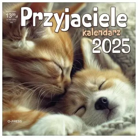 Kalendarz 2025 Ścienny 330x330 Przyjaciele Kalendarz 2025 Ścienny 330x330 Przyjaciele