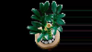 LEGO The Botanical Collection Dracena sandera 10344