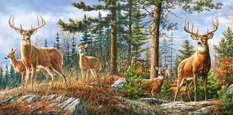 Puzzle 4000 elementów. Królewska rodzina jeleni Puzzle 4000 elementów. Królewska rodzina jeleni