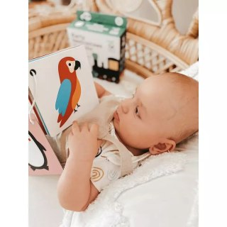 Karty kontrastowe malucha. 6+ miesięcy