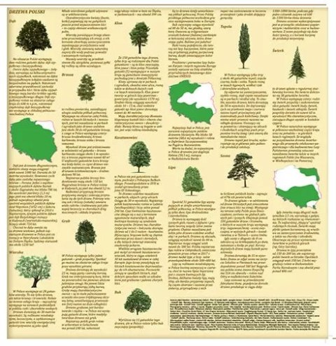 Mapa z naklejkami "Przyroda Polski" Mapa z naklejkami "Przyroda Polski"