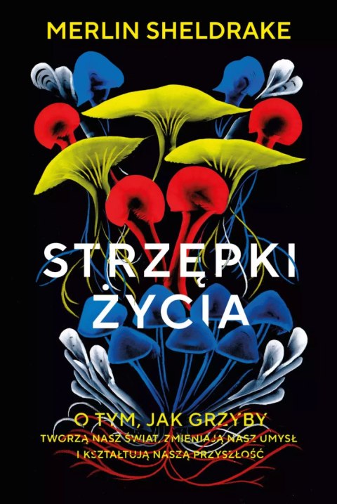 Strzępki życia Strzępki życia