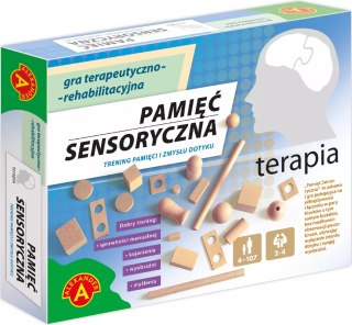 Gra terapeutyczno-rehabilitacyjna. Terapia. Pamięć sensoryczna