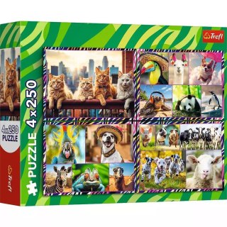 Puzzle 4x250 elementów. Zabawne zwierzaki