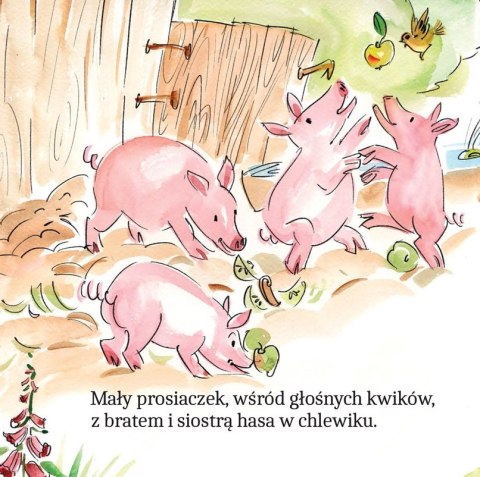 Zwierzątka na wsi w wierszykach