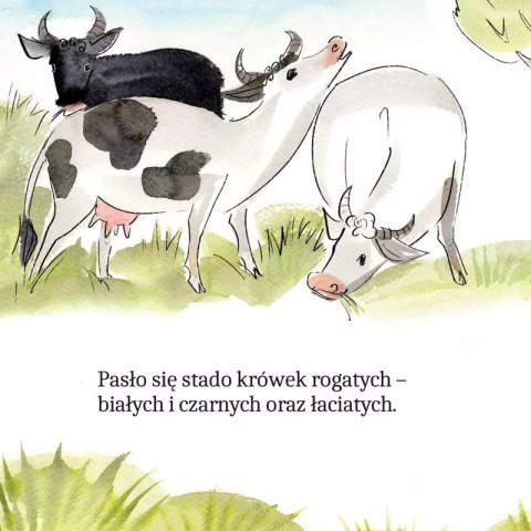 Zwierzątka na wsi w wierszykach