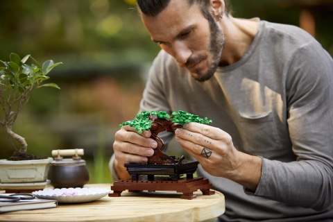 LEGO Icons Drzewko bonsai 10281