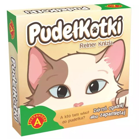 PudełKotki. Kieszonkowa gra rodzinna
