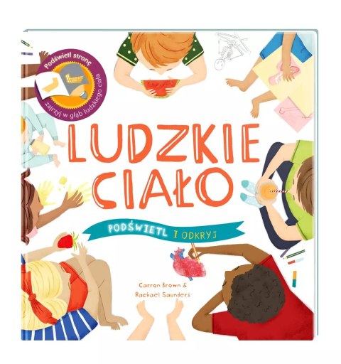 Podświetl i odkryj. Ludzkie ciało