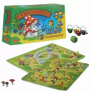 Grzybobranie. Rajd samochodowy
