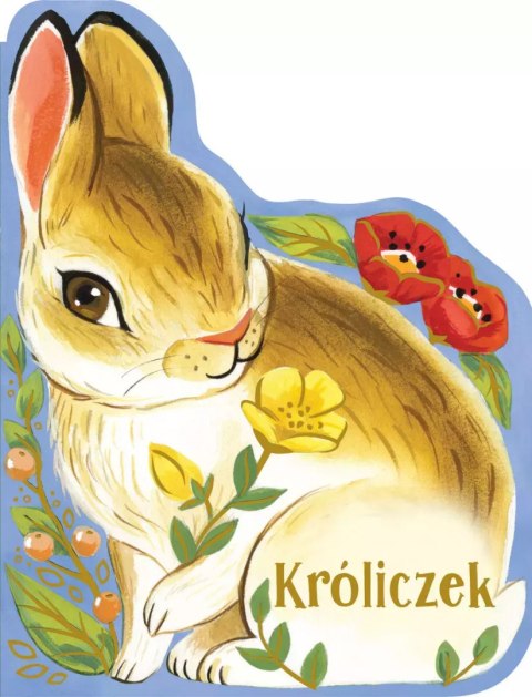 Kroliczek Kroliczek