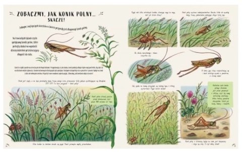 Slow Down. Bądź tu i teraz. Opowieści o przyrodzie, które sprawią, że zachwycisz się małymi cudami natury Slow Down. Bądź tu i teraz. Opowieści o przyrodzie, które sprawią, że zachwycisz się małymi cudami natury