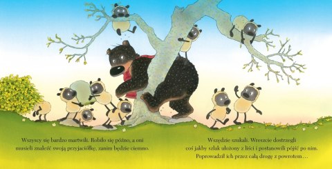 Amberek. Miś Tuliś bawi się w chowanego Amberek. Miś Tuliś bawi się w chowanego