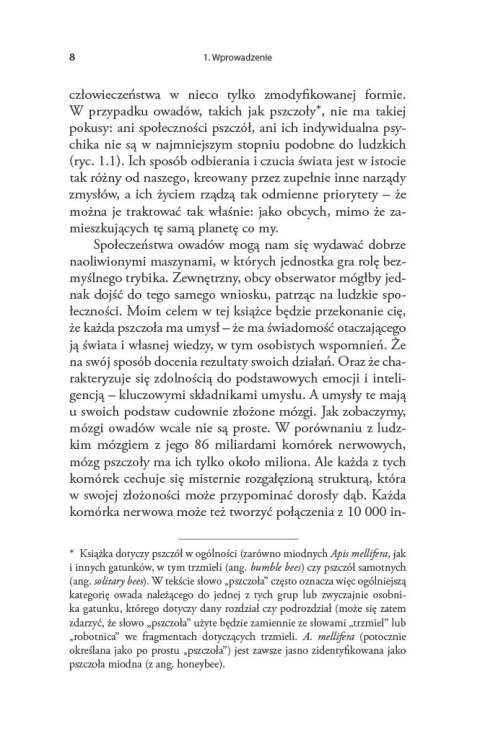 Pszczoły. Krótki lot w głąb niezwykłych umysłów