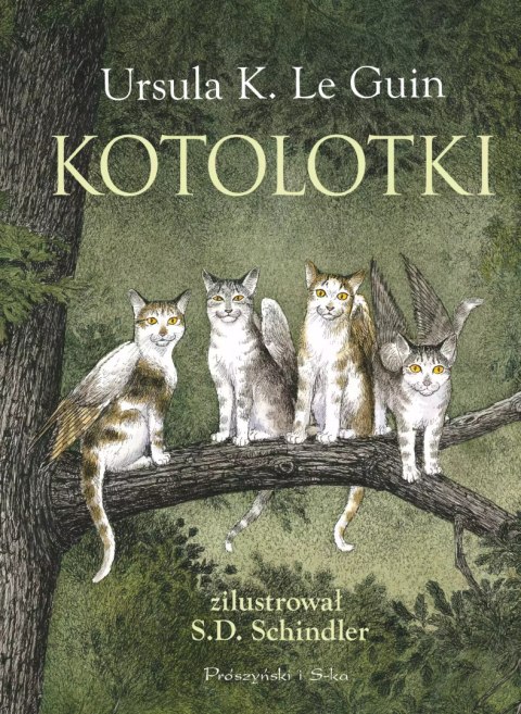 Kotolotki Kotolotki