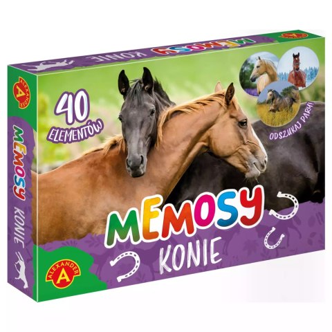 MEMOSY - KONIE MEMOSY - KONIE