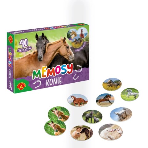 MEMOSY - KONIE MEMOSY - KONIE