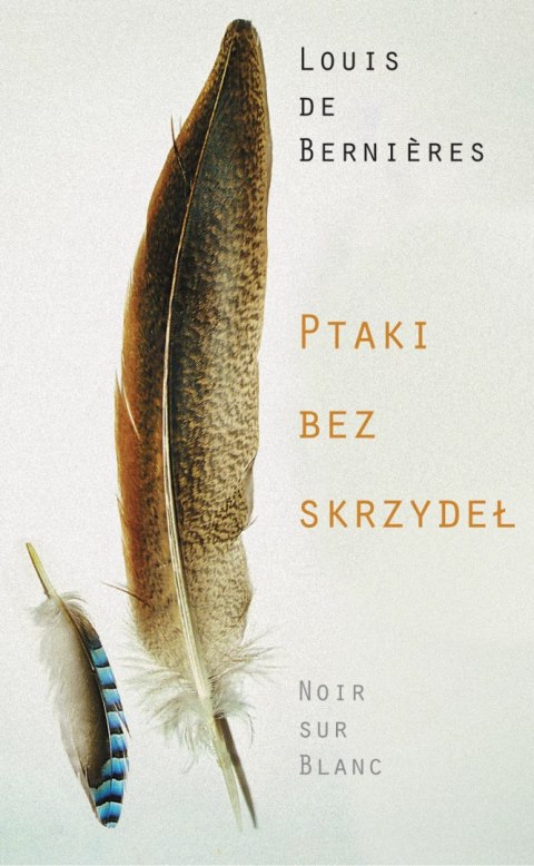 Ptaki bez skrzydeł Ptaki bez skrzydeł