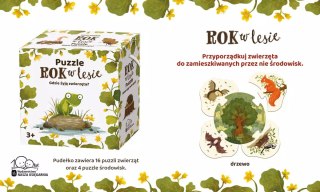 Rok w lesie. Gdzie żyją zwierzęta