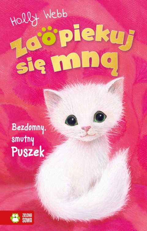 Zaopiekuj się mną. Bezdomny, smutny Puszek Zaopiekuj się mną. Bezdomny, smutny Puszek
