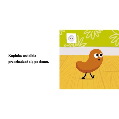 Kupinka Kupinka