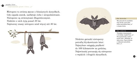 Nauka czytania Nauka czytania