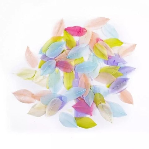 Pióra gęsie pastel 6cm 5g Pióra gęsie pastel 6cm 5g