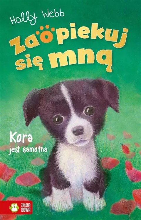 Zaopiekuj się mną. Kora jest samotna Zaopiekuj się mną. Kora jest samotna