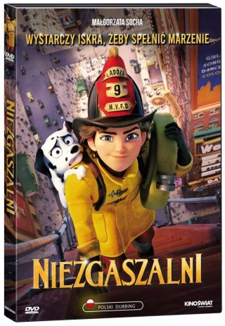 Niezgaszalni, DVD