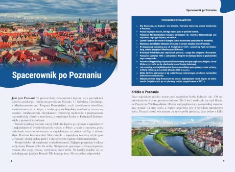 Spacer po Poznaniu Spacer po Poznaniu